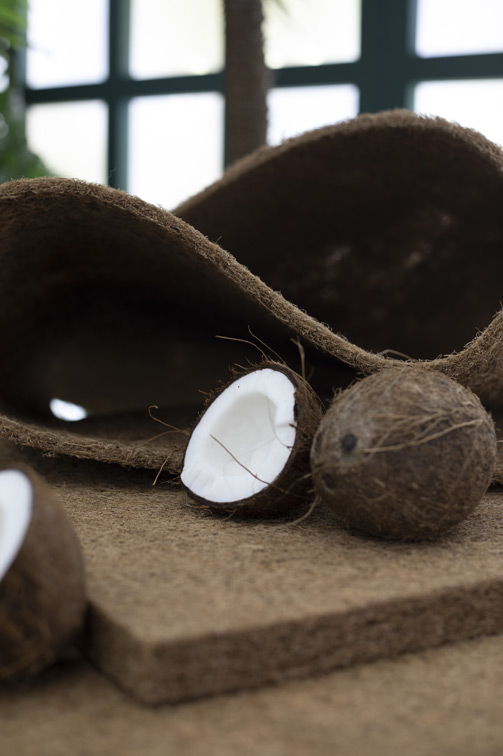 Детский матрас Dreamline Baby Dream TFK 60х120х12